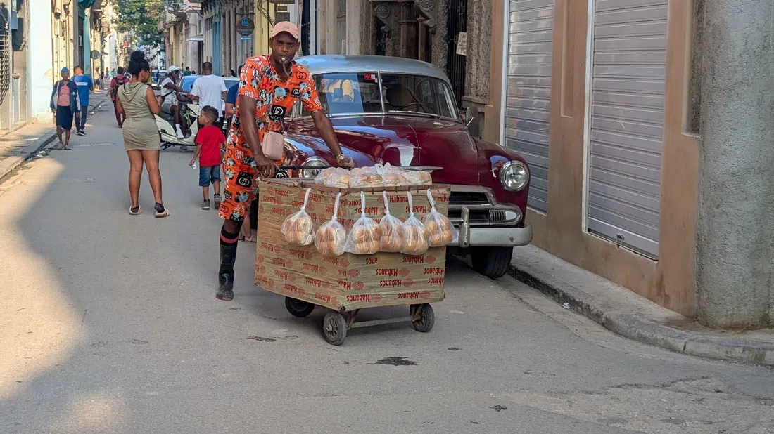 Old Cars Havana, Havana