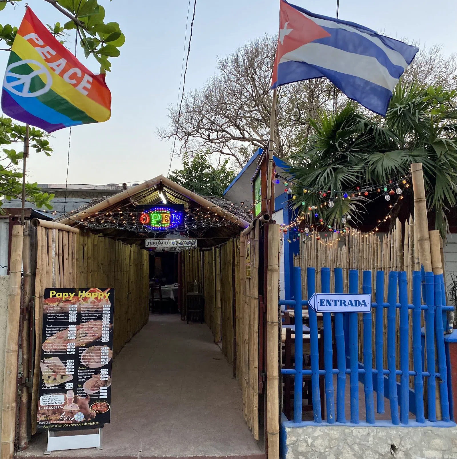 Papi Happy, Havana