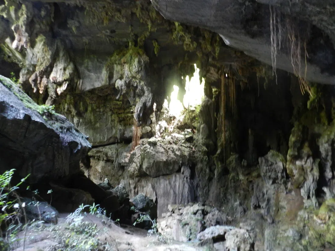 Gran Caverna de Santo Tomás, La Havane