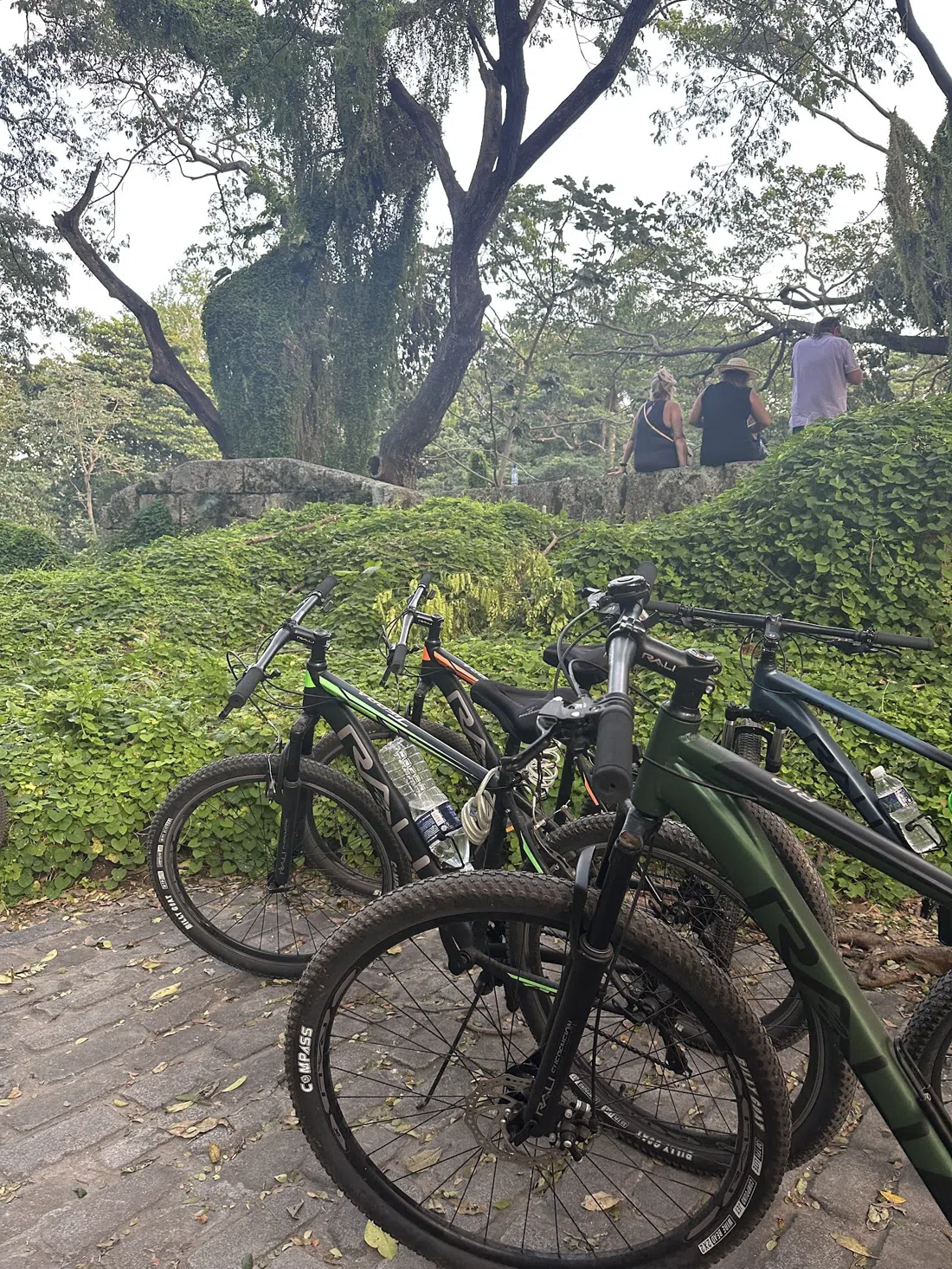 JimyBikes, L'Avana