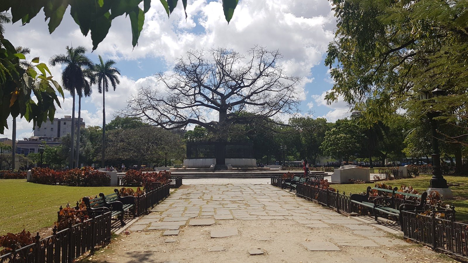 Parque de la Fraternidad, Havana