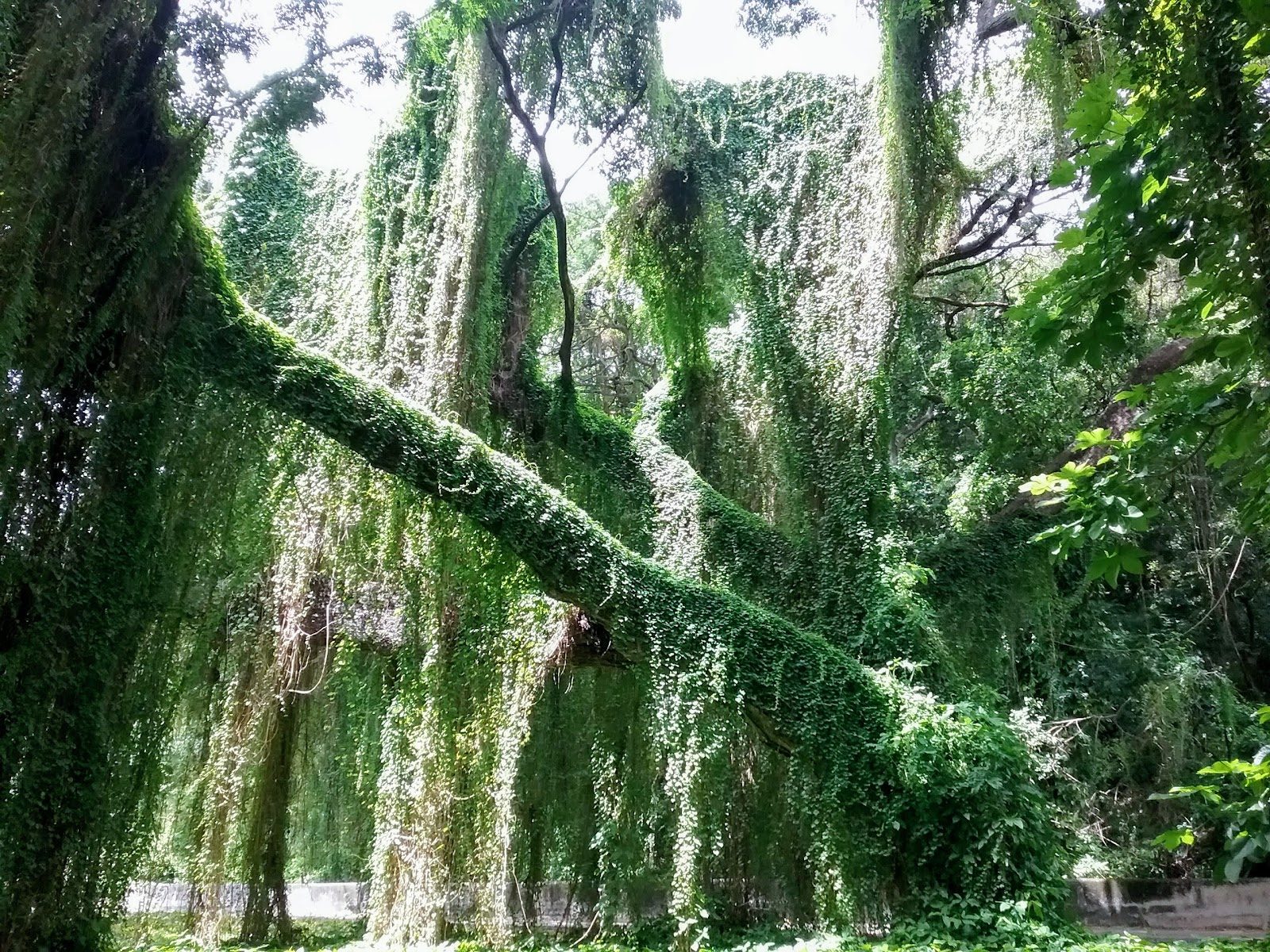 Gran Parque Metropolitano de La Habana, Havana