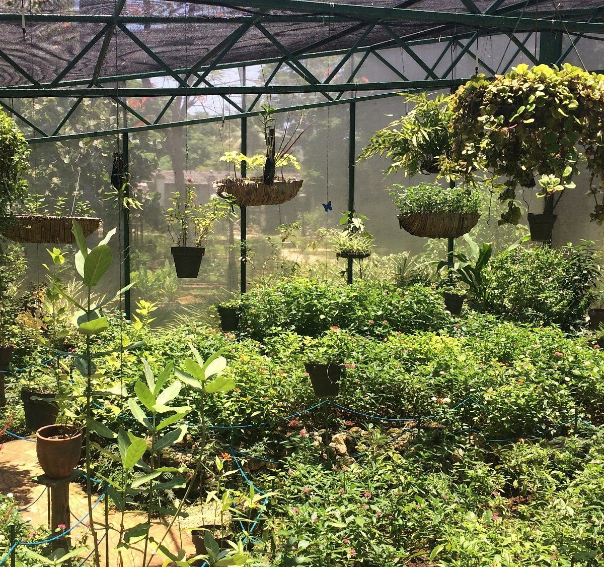 Quinta de los Molinos, Havana
