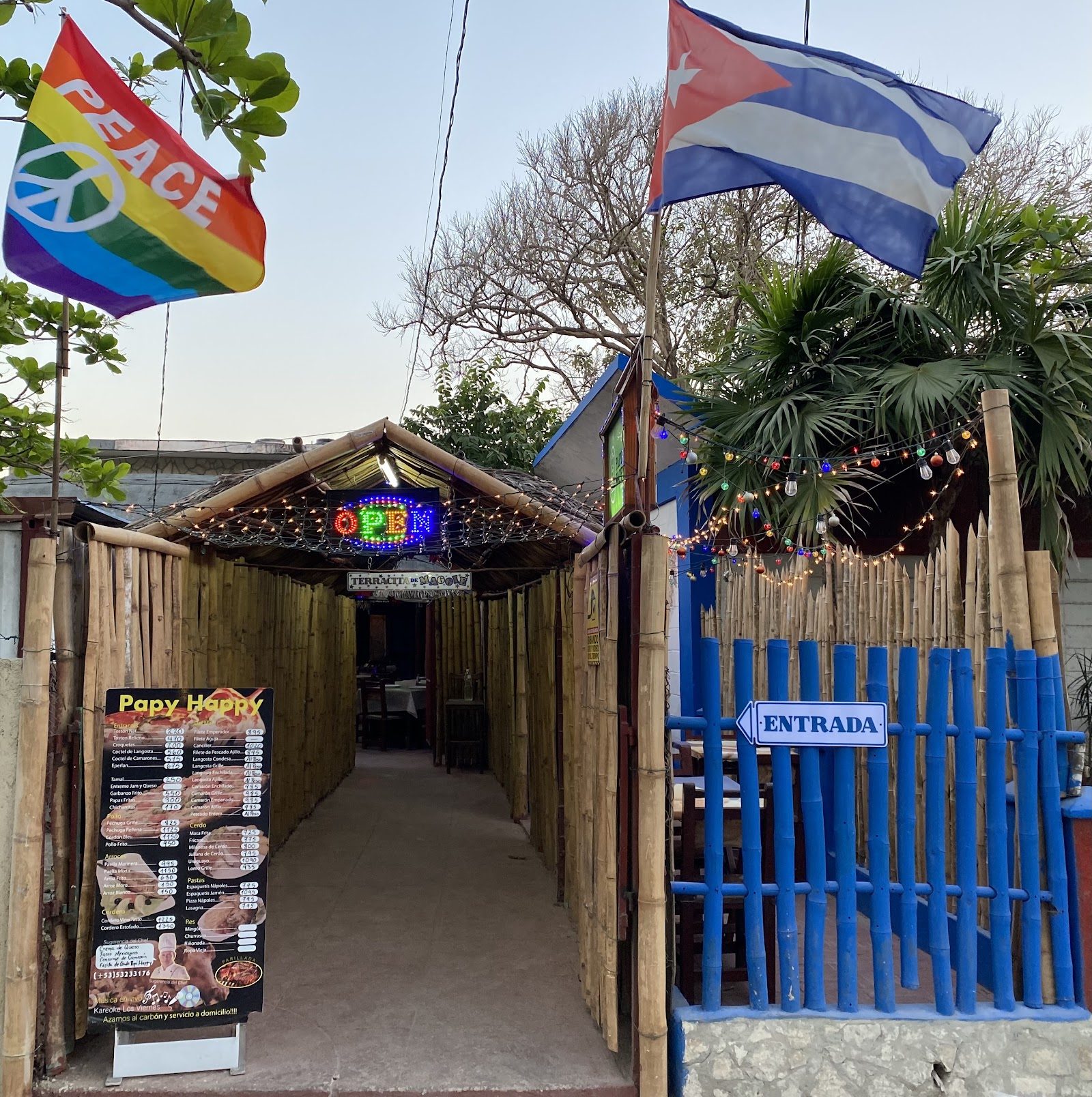 Papi Happy, Havana