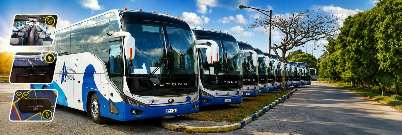 Víazul, La Habana