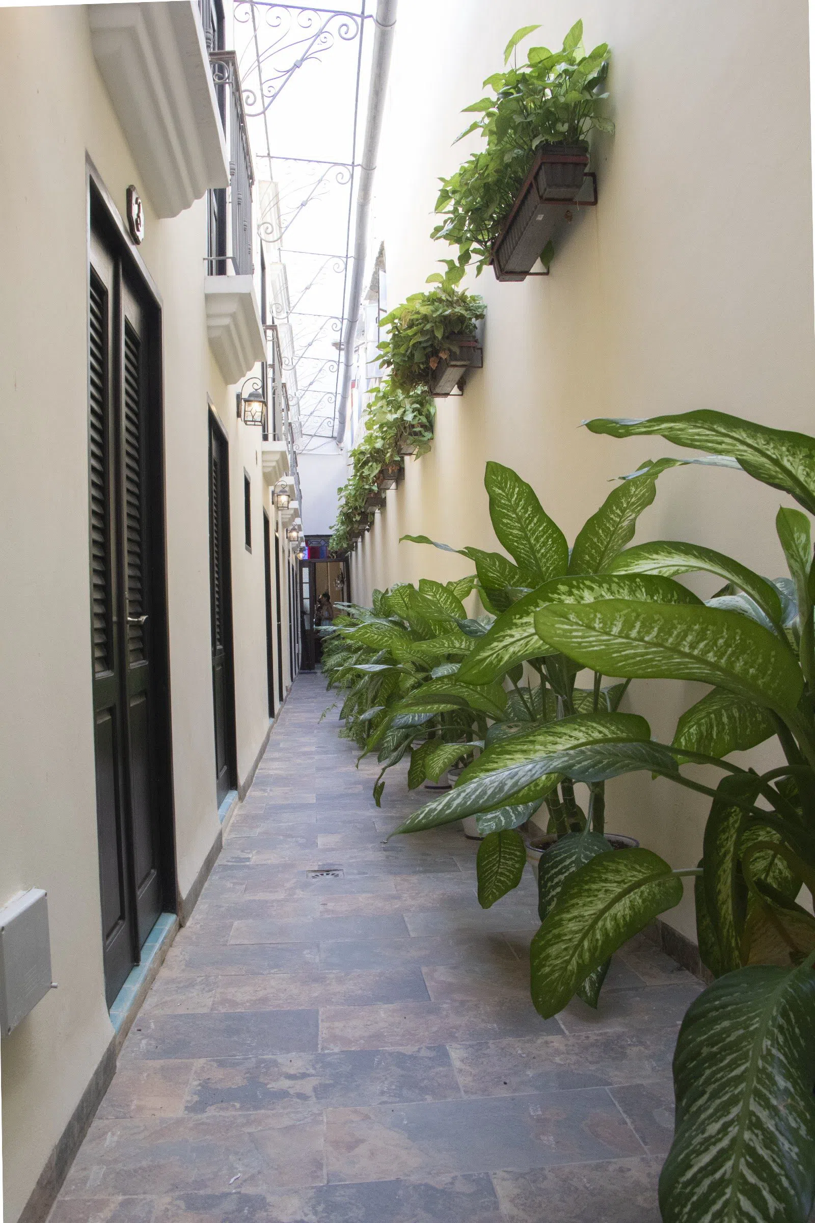La Posada de Chacón, Havanna
